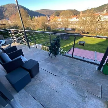 Traumhafte Mit Neckarblick Und Balkon Apartment