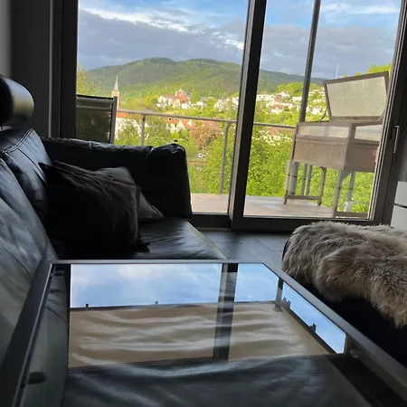 Traumhafte Mit Neckarblick Und Balkon Apartamento *