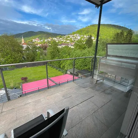 Traumhafte Mit Neckarblick Und Balkon